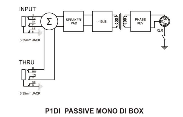 P1DI .jpg